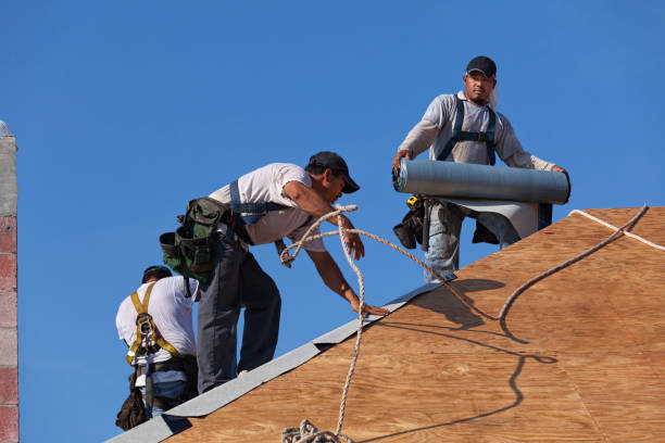 Best New Roof Installation  in Maunawili, HI